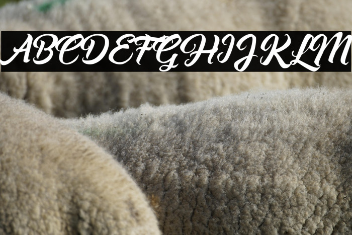 Asiyah Script Example 3