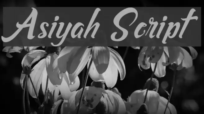 Asiyah Script Font examples