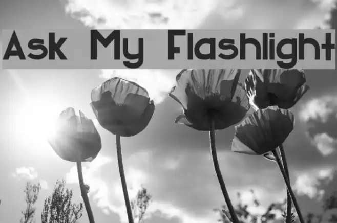 Ask My Flashlight Font examples