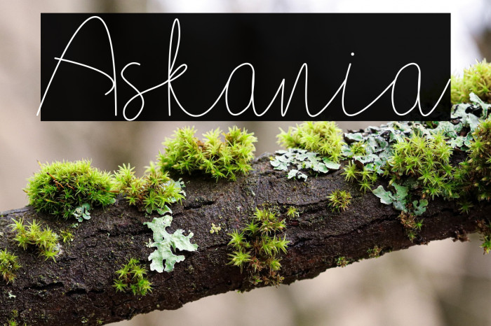 Askania Example 1