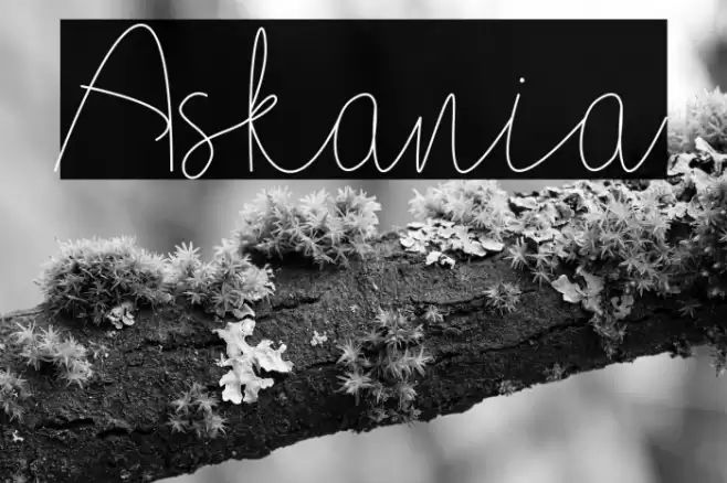 Askania Font examples