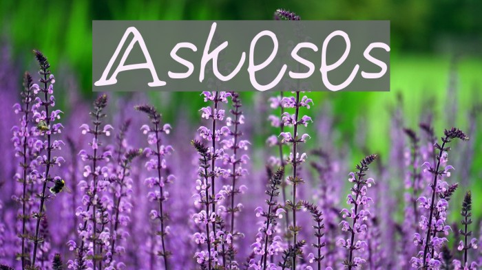 Askeses Font examples