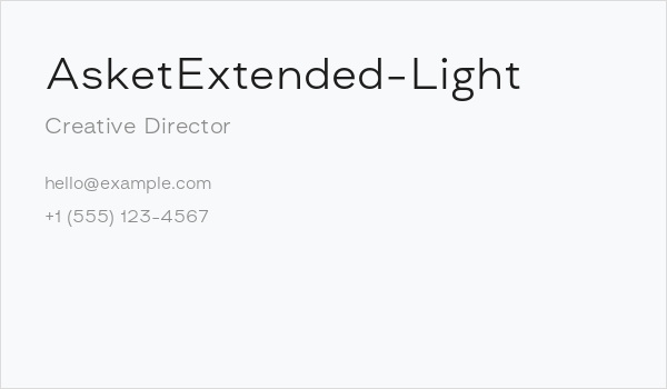 AsketExtended-Light Business Card