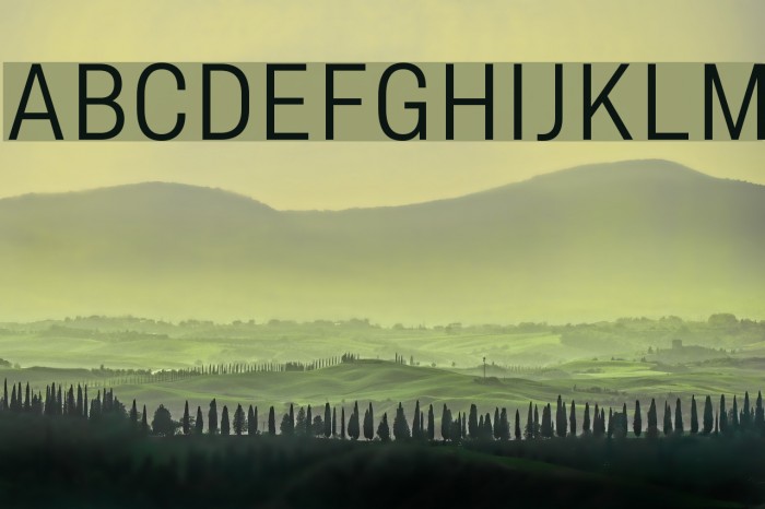 AsketNarrow-Light Font examples