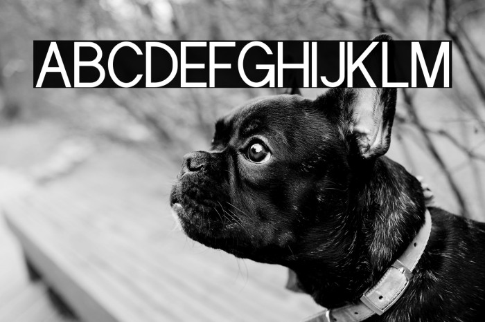 Aslaha Biladina Sans Example 1