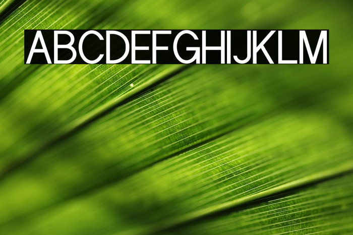 Aslaha Biladina Sans Example 2