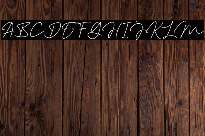 Aslaha Biladina Signature Example 1