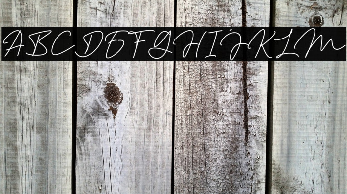 Aslaha Biladina Signature Example 2