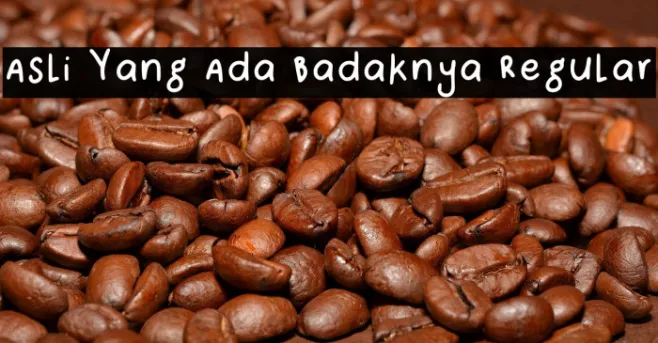 Asli Yang Ada Badaknya Regular Example 1