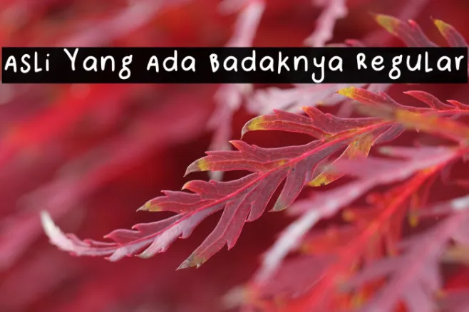 Asli Yang Ada Badaknya Regular Example 2