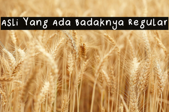 Asli Yang Ada Badaknya Regular Example 3