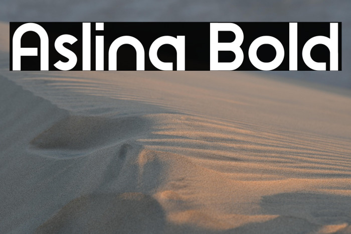 Aslina Bold Example 1