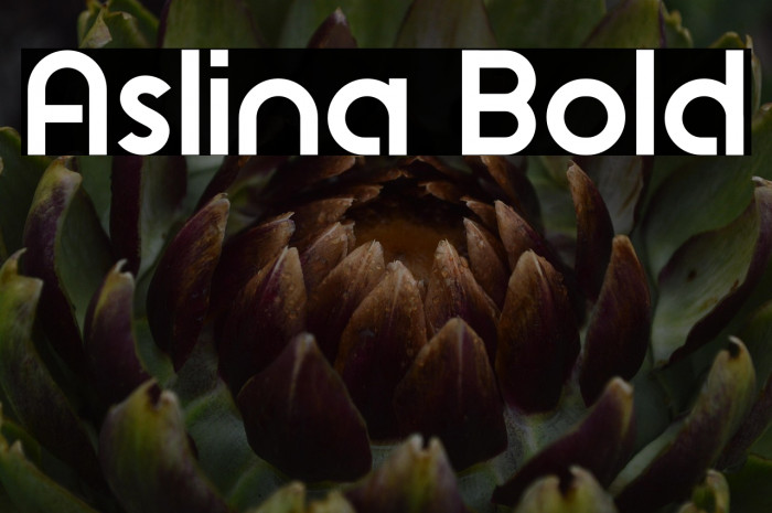 Aslina Bold Example 3