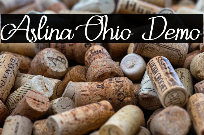 Aslina Ohio Demo Example 1