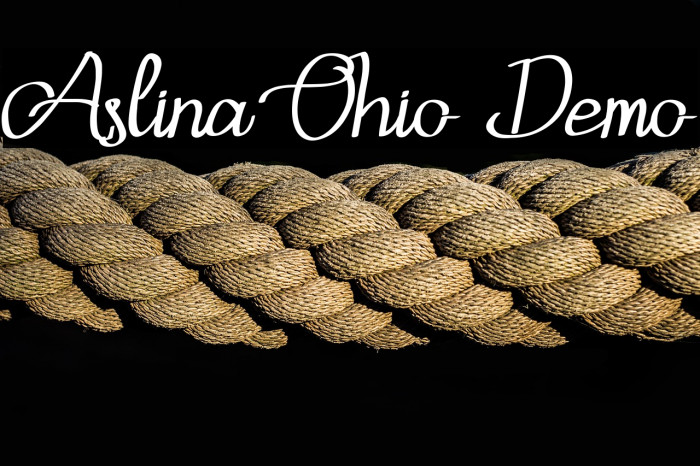 Aslina Ohio Demo Example 2