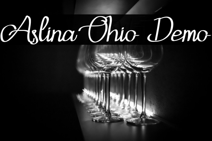 Aslina Ohio Demo Example 3