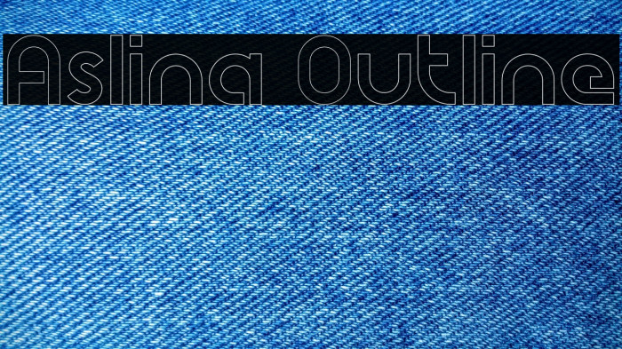 Aslina Outline Example 1