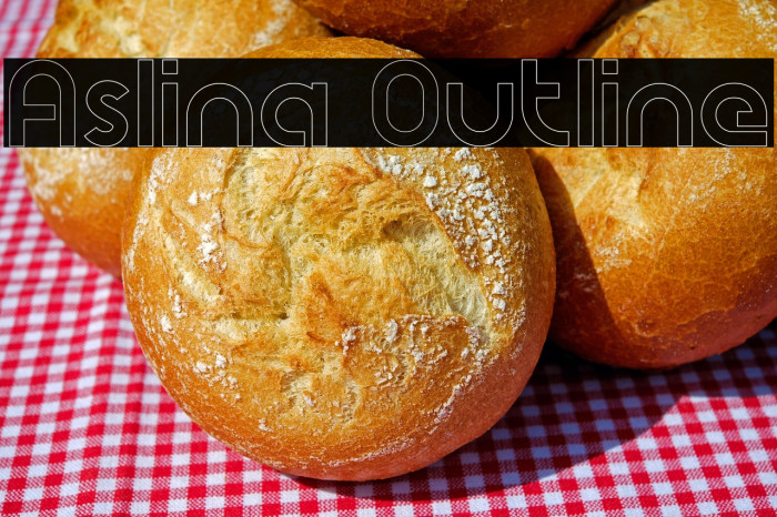 Aslina Outline Example 2