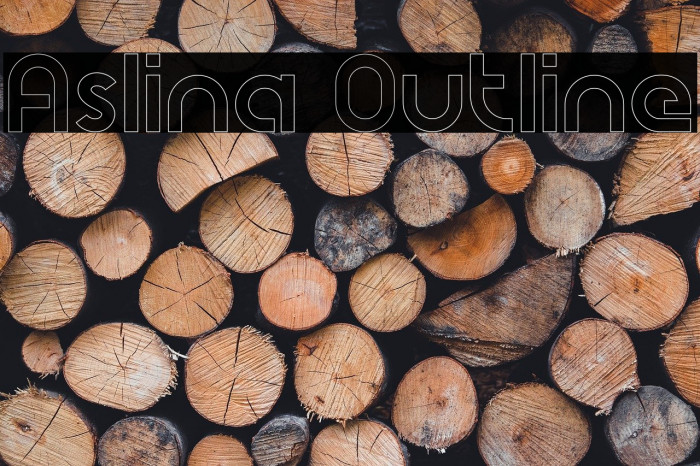 Aslina Outline Example 3