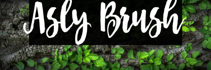 Asly Brush Example 1