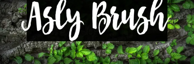 Asly Brush Example 1
