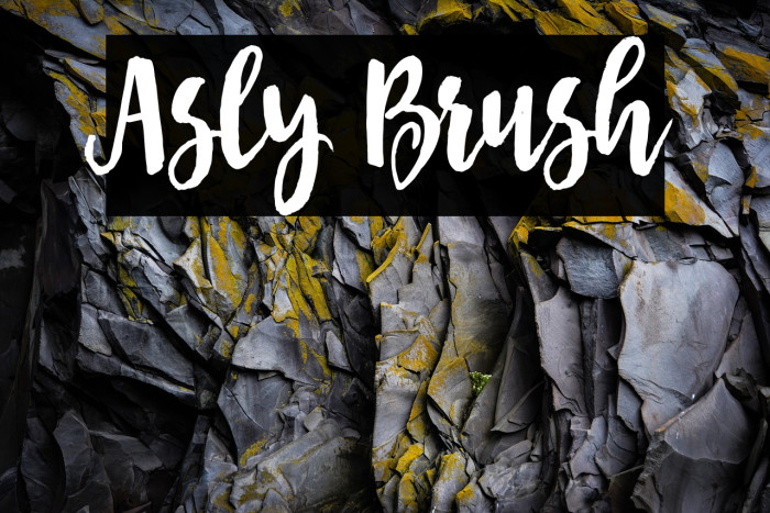 Asly Brush Example 2