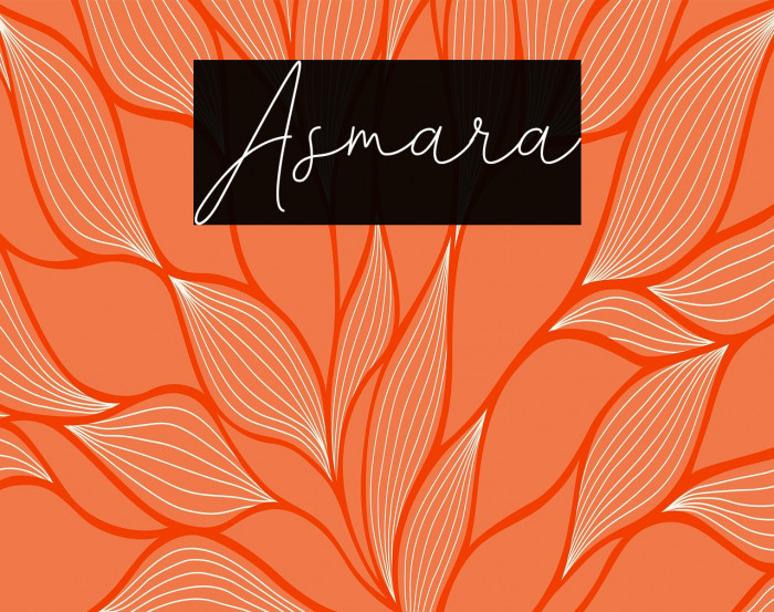 Asmara Example 1