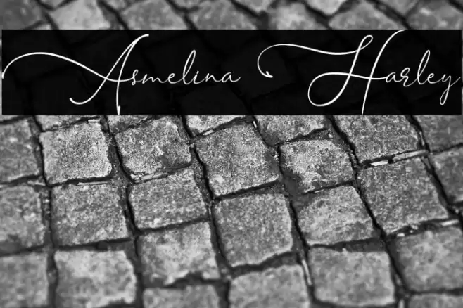 Asmelina Harley Font examples