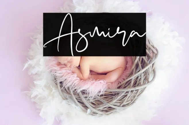 Asmira Example 1
