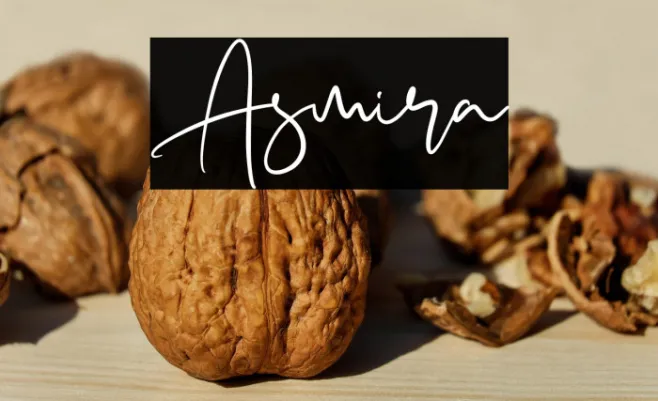 Asmira Example 3