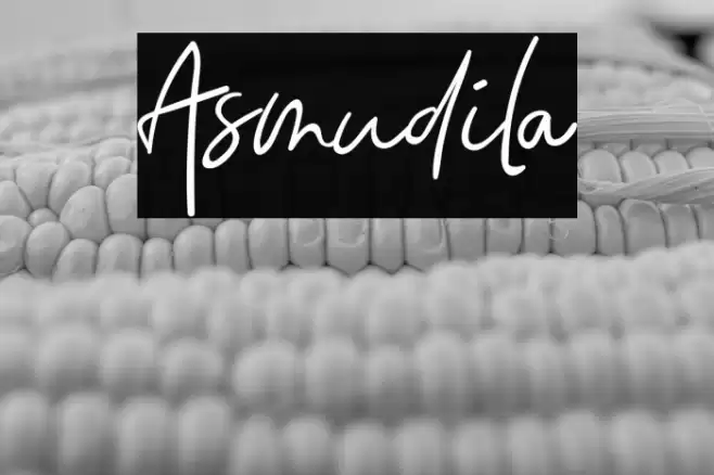 Asmudila Font examples