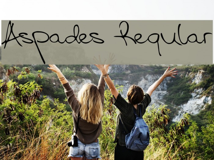 Aspades Regular Example 1