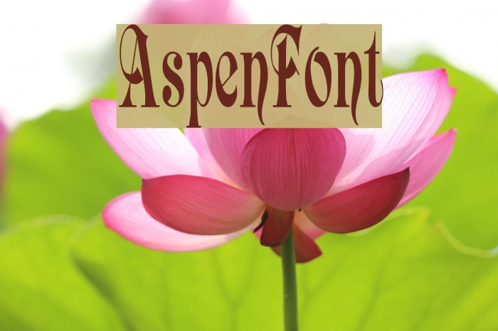 AspenFont Font examples