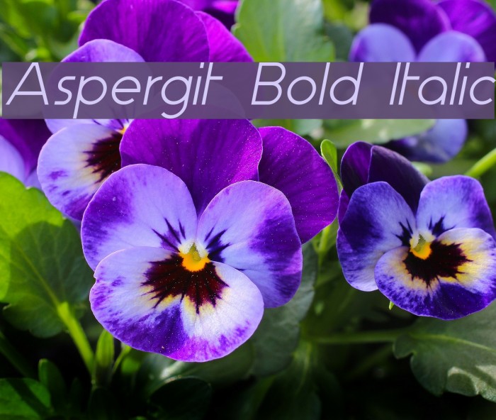 Aspergit Bold Italic Font examples