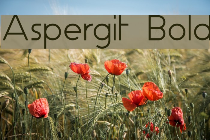 Aspergit Bold Font examples