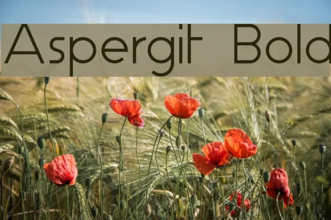 Aspergit Bold Example 1