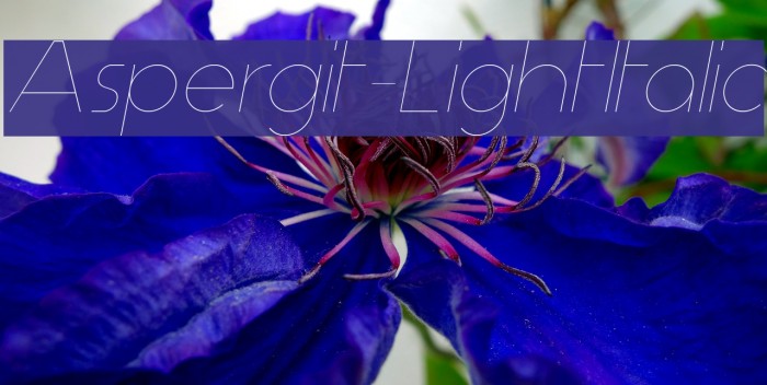 Aspergit-LightItalic Font examples