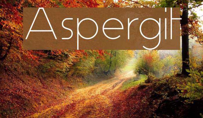 Aspergit Font examples