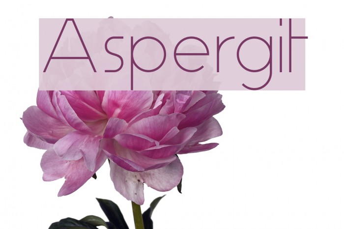 Aspergit Font examples