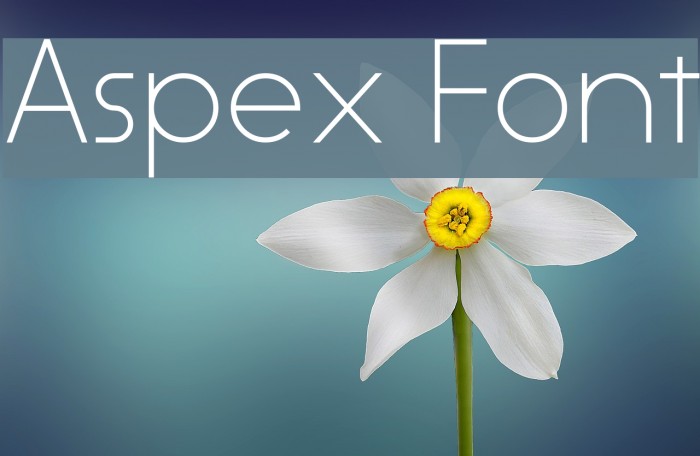 Aspex Example 2