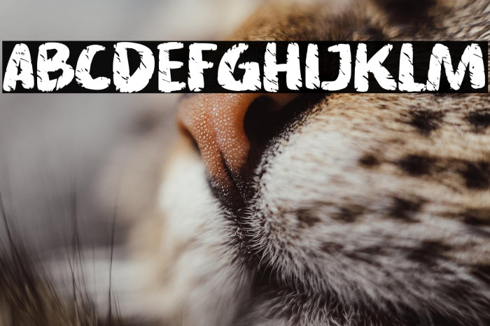 Asphalt crack Example 2