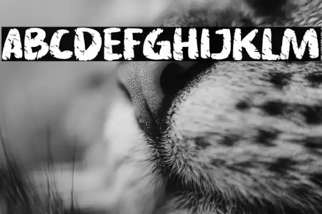 Asphalt crack Font examples