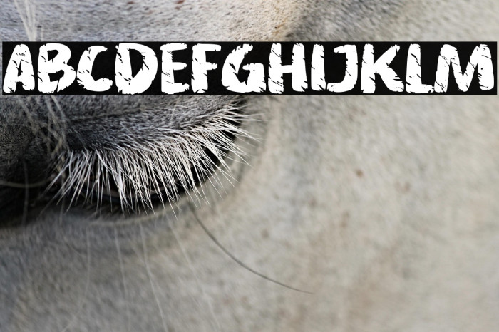 Asphalt crack Example 3