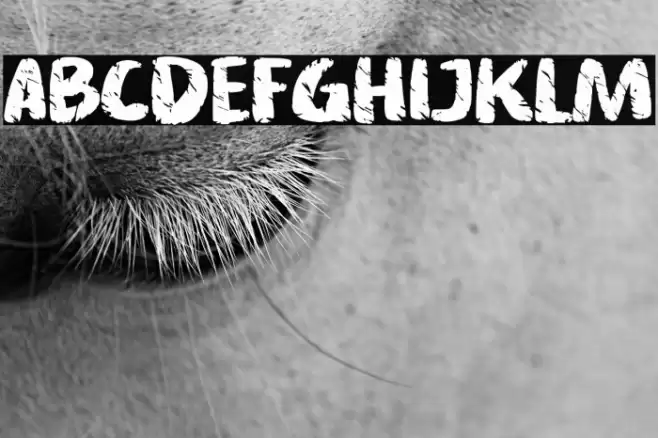 Asphalt crack Font examples