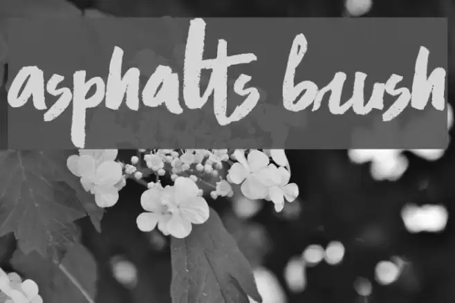 Asphalts Brush Font examples
