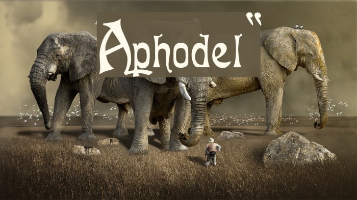 Asphodel!` Font examples