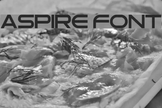 Aspire Font Font examples