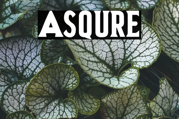 Asquire Example 1