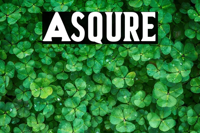 Asquire Example 2