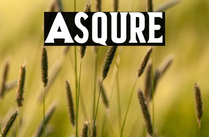 Asquire Example 3